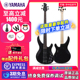 YAMAHA雅马哈进口TRBX504/604/BB434/734电贝司斯BASS四4弦五5弦