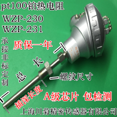 WZP-230/WZP-231/PT100铂热电阻/PT100温度传感器/固定螺纹热电偶