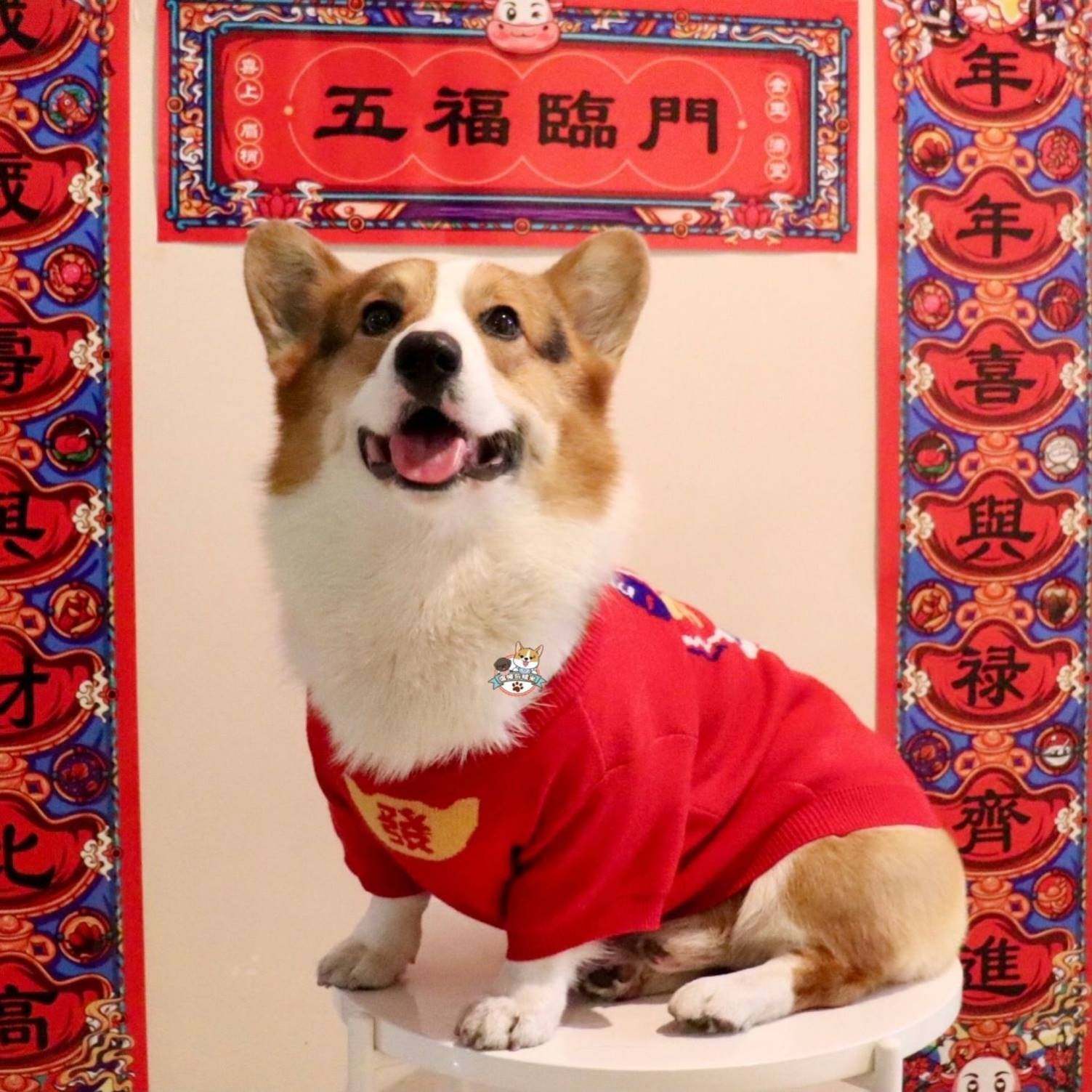 新年宠物狗狗衣服发财喜庆加绒保暖过年潮牌柯基法斗猫咪冬装