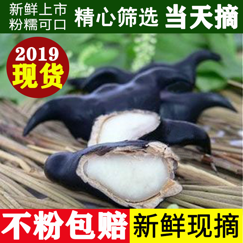 【现货】5斤洪湖新鲜菱角老菱角大个野生现摘青菱角新鲜蔬菜包邮在类目 水产肉类/新鲜蔬果/熟食, 新鲜蔬菜/蔬菜制品, 新鲜蔬菜, 菱角中 - 来自Buy2taobao.com提供专业的淘宝代购服务