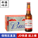 Budweiser百威布德维旋盖啤酒300ml*24瓶装箱装英国原装进口整箱