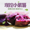 新鲜紫薯非越南迷你番薯山芋香薯红薯现挖蜜薯小紫薯地瓜5斤包邮|ru 新鲜紫薯非越南迷你番薯山芋香薯红薯现挖蜜薯小紫薯地瓜5斤包邮|ru