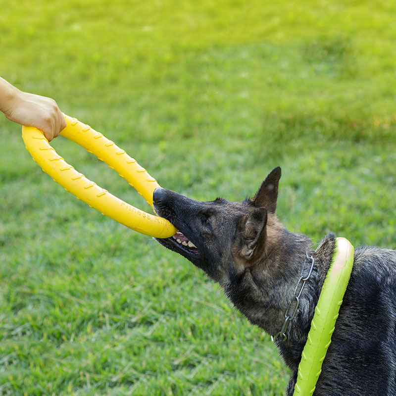 狗玩具耐咬磨牙浮水中大型犬马犬金毛拉布柔软啃咬球飞碟训练拉环在类目 宠物/宠物食品及用品, 猫/狗玩具, 橡胶球/球形玩具中 - 来自Buy2taobao.com提供专业的淘宝代购服务
