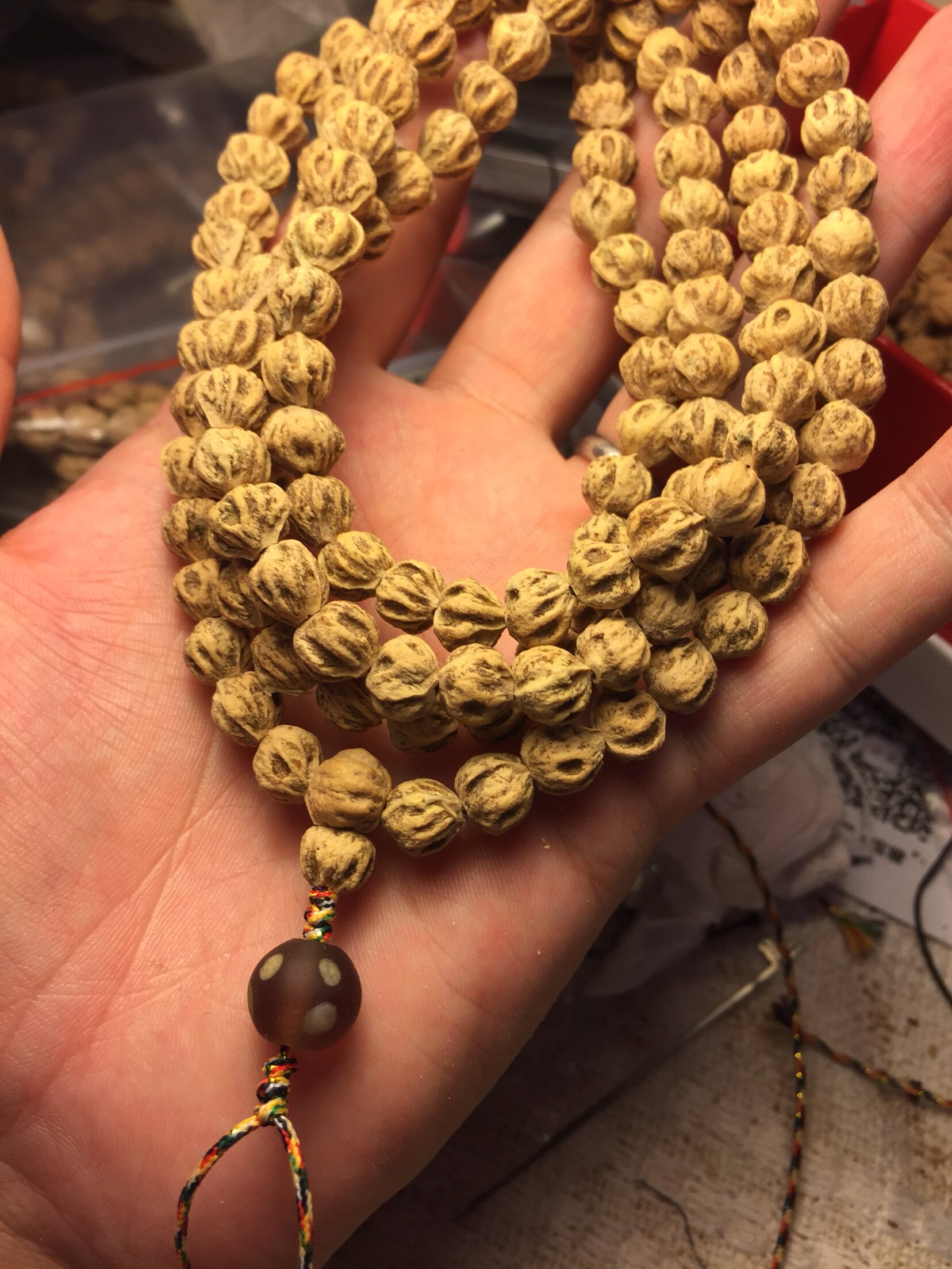 精挑热振寺百香籽柏香籽菩提原桩鬼脸8cm菩提