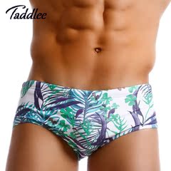 TADDLEE 新款游泳裤 男士三角运动泳裤 高弹利水抗氯 男 加大码