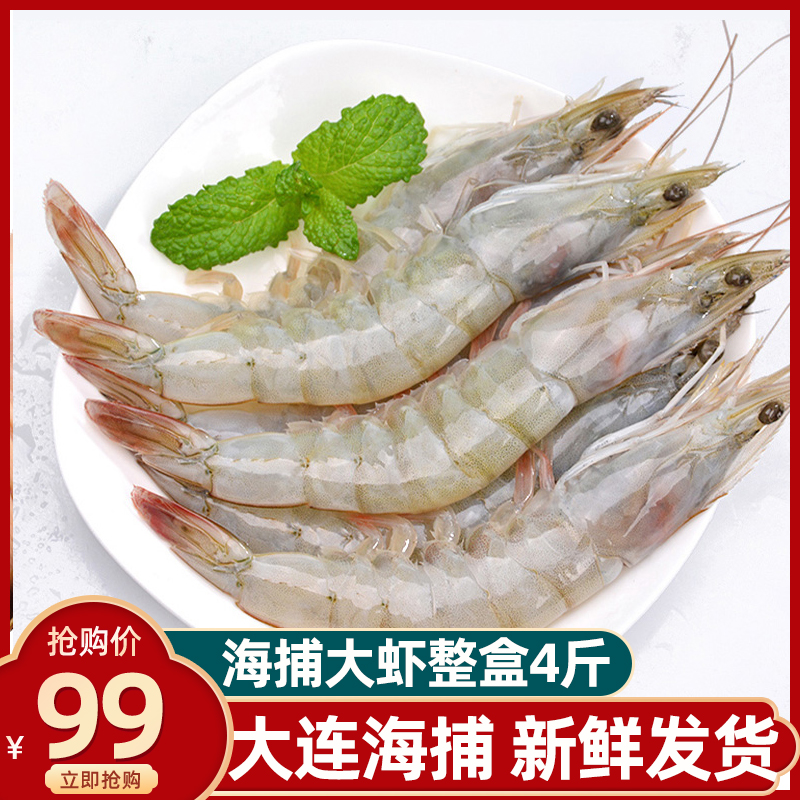 大连海虾新鲜大海虾冷冻鲜活超大鲜虾海虾冻虾白虾速冻海虾