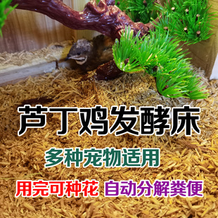 卢丁鸡发酵床菌种仓鼠柯尔鸭芦丁鸡粪床窝分解粪便垫料成品养鹌鹑