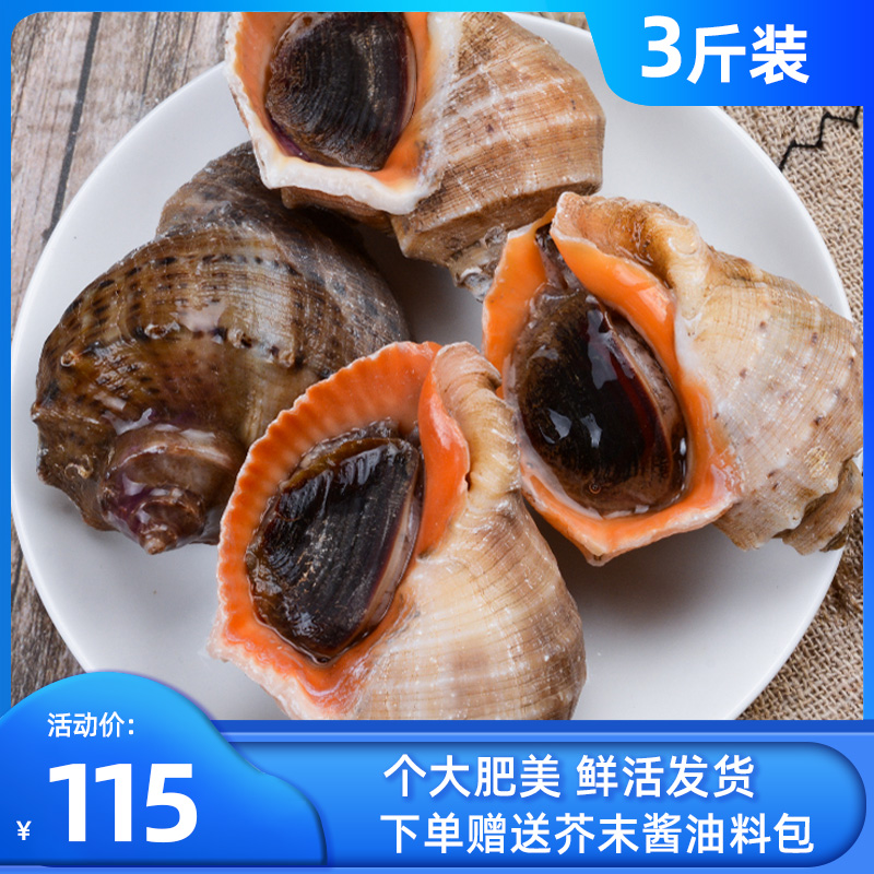海螺鮮活青島新鮮大海螺3斤海鮮水産貝類新鮮現挖花螺在類目 水產肉類/新鮮蔬果/熟食, 海鮮/水產品/製品, 貝類, 翡翠螺中 - 來自Buy2taobao.com提供專業的淘寶代購服務