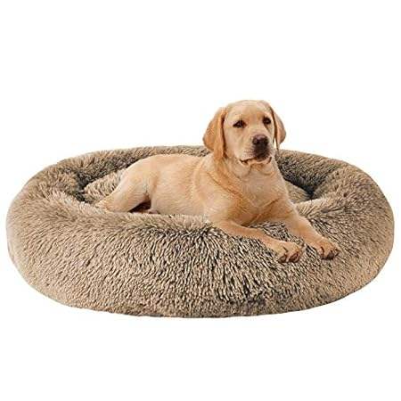 MFOX Calming Dog Bed (L/XL/XXL/XXXL) for Medium and Large