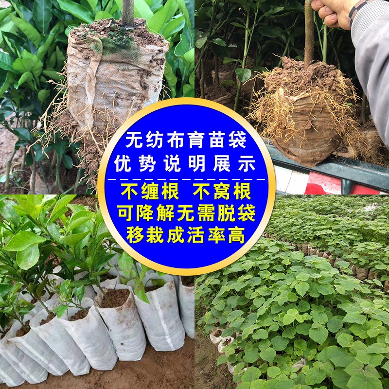 无纺布育苗袋营养袋加厚种植袋白色营养钵可降解容器杯一次性花盆|msdalam kategori penghantaran bunga/bunga simulasi/tumbuhan berkebun, Gardening Supplies, dulang Nursery/mangkuk pemakanan - dari Buy2taobao.com untuk memberikan perkhidmatan ejen Taobao profesional membeli