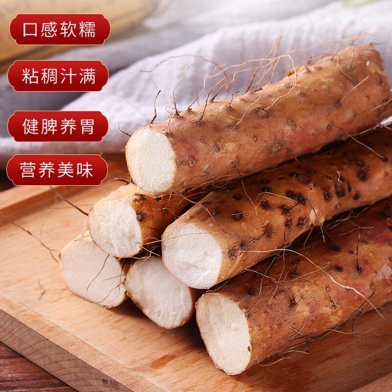 垆土铁棍山药淮山药正宗山药新鲜5斤山药豆温县山药小白嘴山药