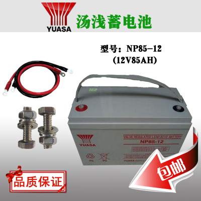 12V85AH汤浅电池NP85-12电瓶 UPS 直流屏 应急照明 门禁安防 免维在类目 五金/工具, 蓄电池, 固定型中 - 来自Buy2taobao.com提供专业的淘宝代购服务