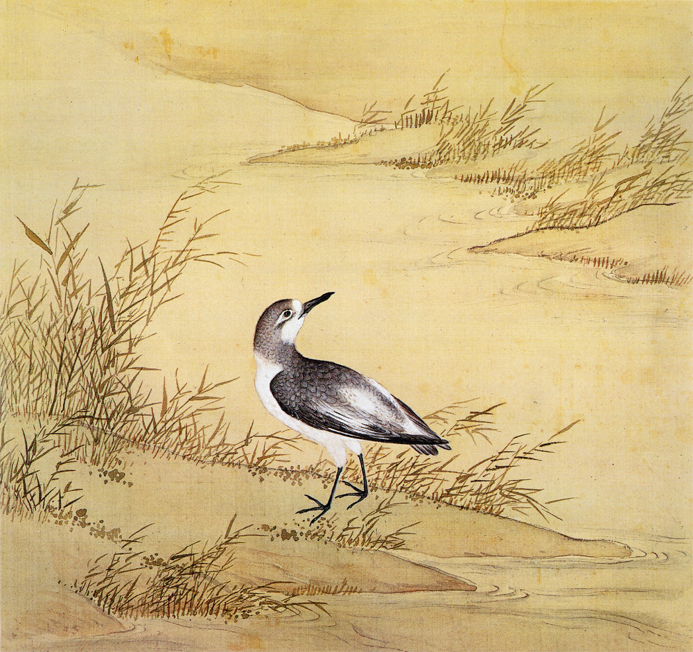 故宫鸟谱024海八哥仿古画复制名人字画名家书画29x32花鸟画小品