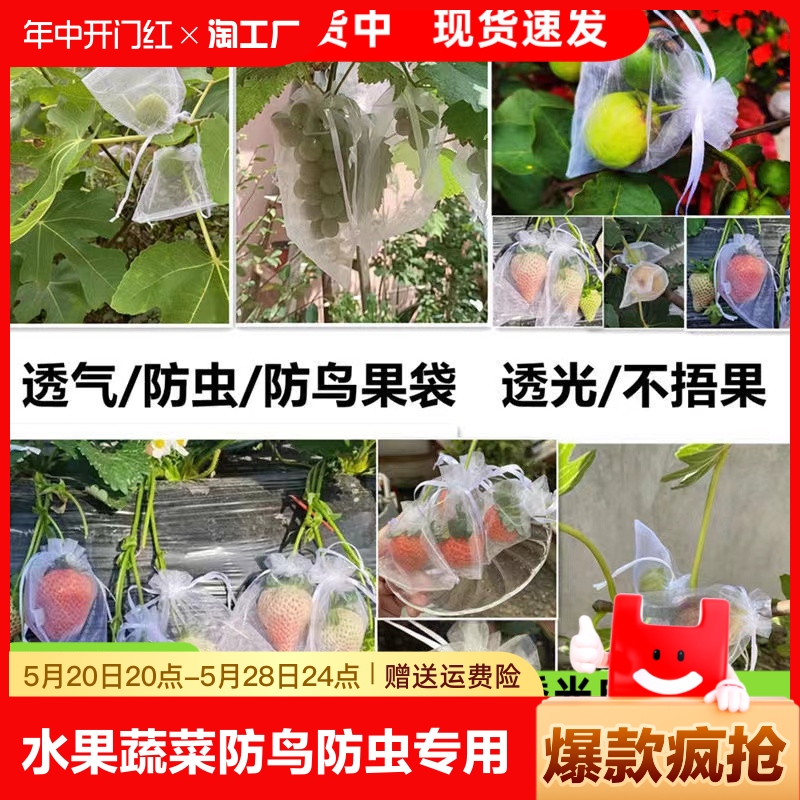 水果套袋防鸟防虫专用网袋葡萄无花果瓜果番石榴草莓杨桃保护袋子