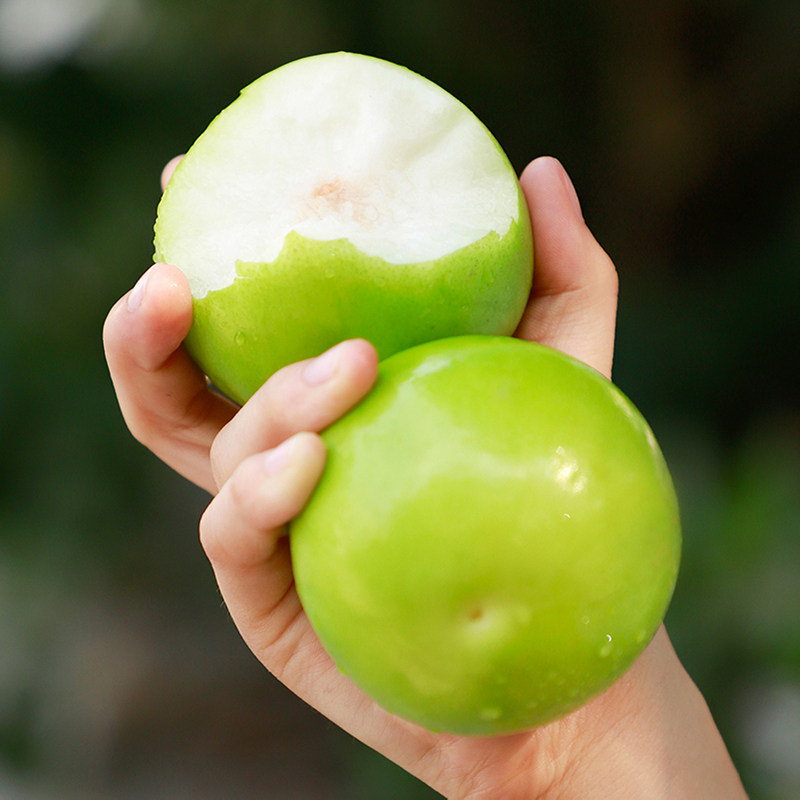 5斤台湾贵妃枣牛奶枣新鲜水果蜜枣大青枣甜脆鲜枣子漳州特级冬枣3