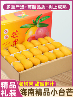 树上熟 10斤海南小台芒新鲜芒果鲜果水果热带超甜台农整箱包邮大9