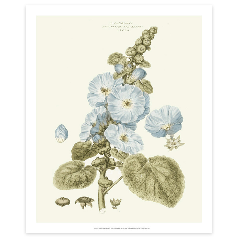TIME ART美国进口原版装饰画纸质微喷画芯美式蓝色花卉挂画