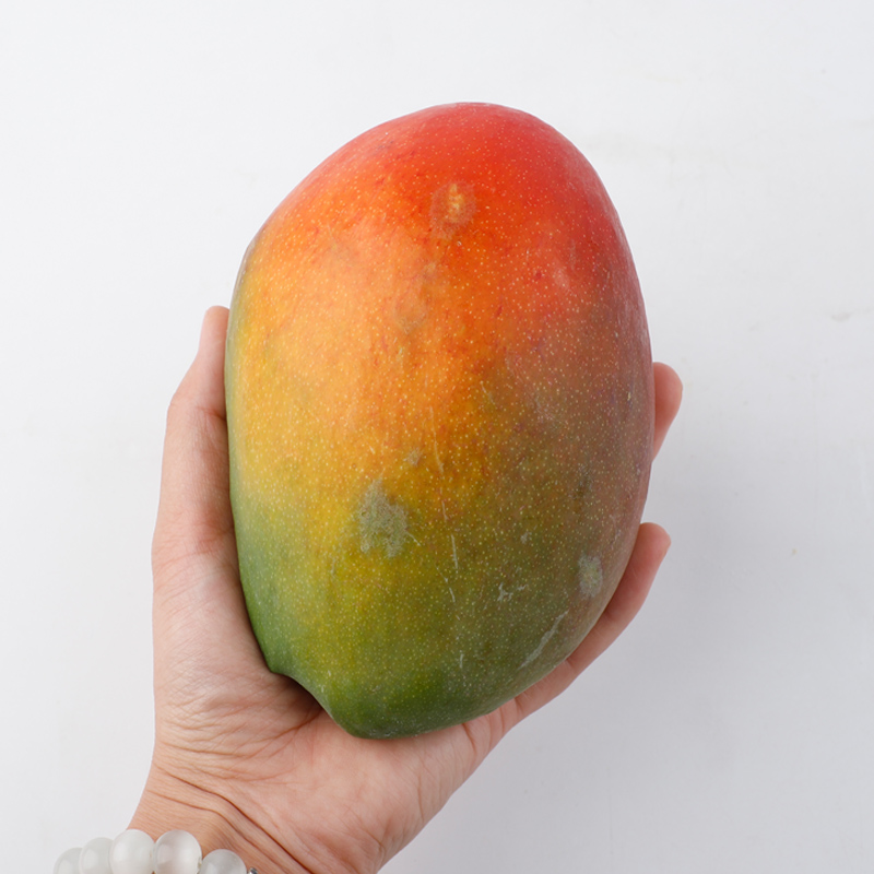 攀枝花芒果新世纪芒果净果8斤新鲜水果当季时令孕妇彩芒红芒