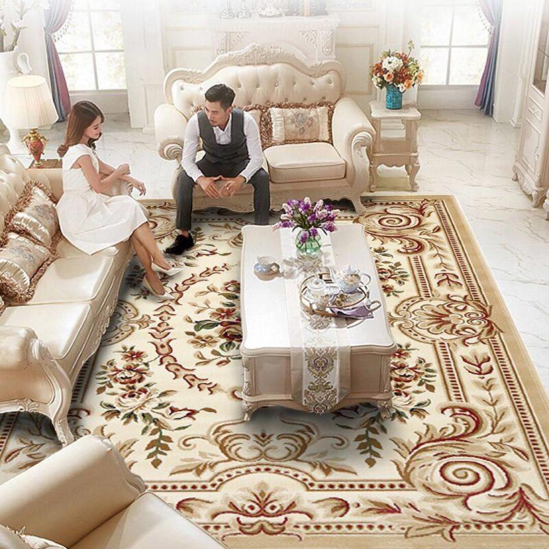 蓝海棠 欧式地毯客厅门厅书房地毯卧室茶几沙发床边毯 016-驼色 1
