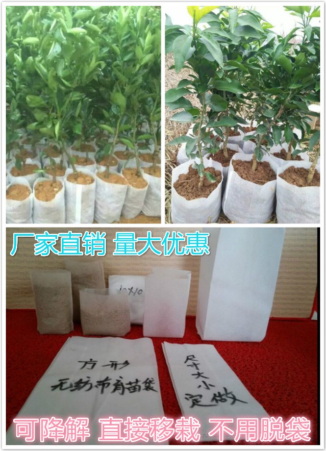 環保可降解無紡布育苗袋.基質容器袋營養袋植樹袋苗圃綠化容器袋在類目 鮮花速遞/花卉仿真/綠植園藝, 園藝用品, 其它園藝用品中 - 來自Buy2taobao.com提供專業的淘寶代購服務