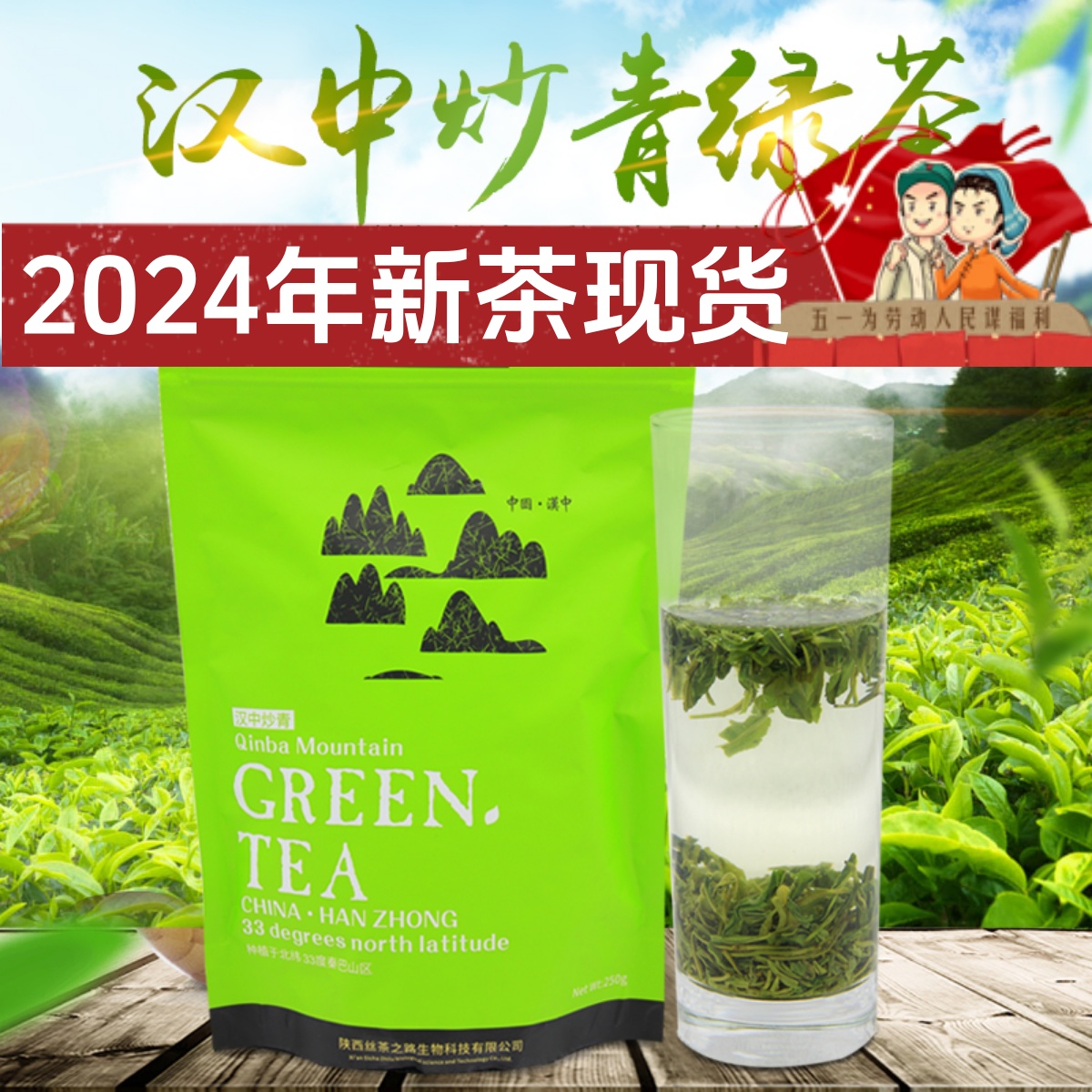 汉中绿茶茶叶2024新茶特级散装毛尖高山云雾炒青有机春茶西乡特炒