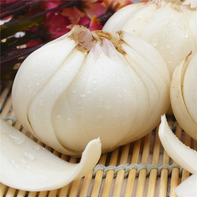 鲜百合兰州特产三头皇新鲜百合蔬菜食用甜百合现挖3斤非百合干