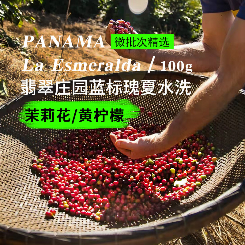 2021产季巴拿马翡翠庄园蓝标瑰夏水洗精品手冲咖啡豆可磨粉100克