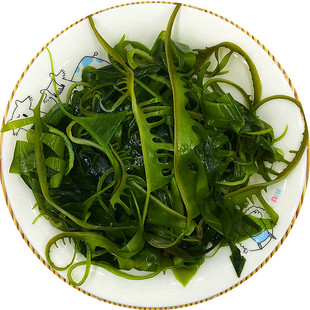 特级裙带菜芽海芽菜火锅海带苗媚芽菜睫毛菜海白菜 整箱30斤包邮