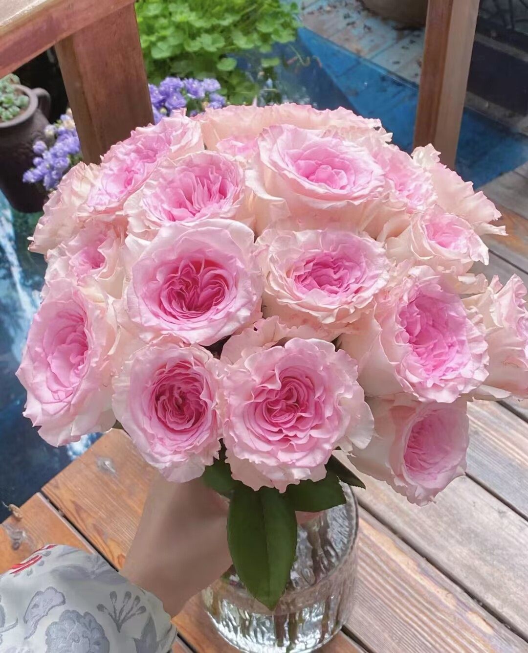 洛神玫瑰云南基地直发母亲节鲜花速递家用水养鲜切花办公室插花