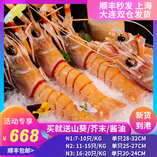 新西兰原装进口深海鳌虾日料生食甜虾斯干比特大龙虾 1/2/3号1KG