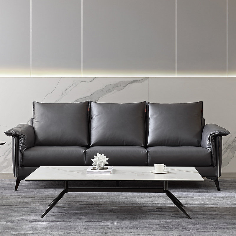 帝标家具布艺科技布沙发轻奢风现代简约客厅组合羽绒靠背ds9072a