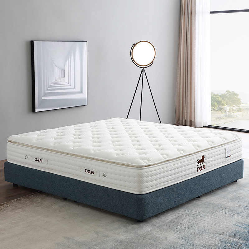 帝标家具加厚蚕丝床垫正品双人独立弹簧卧室席梦思软硬适中1.8米