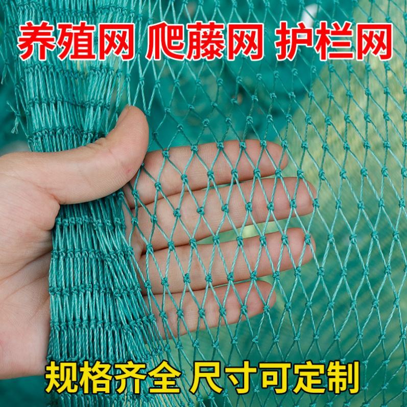 Poultry Aquaculture Network Pheasant Orchard Botany Climbing Anti-bird netting Purse net Guardrail net Pheasantin the Flower delivery/Flowers simulation/Plants gardening , Gardening supplies , Other Garden Supplies category - from Buy2taobao.com to provide professional Taobao agent buy service
