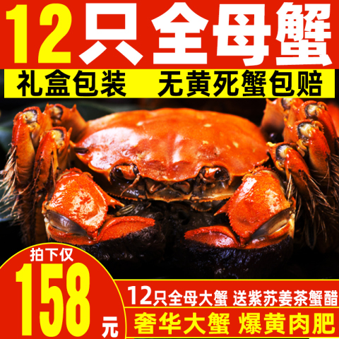 现货新鲜大闸蟹鲜活螃蟹海鲜全公母蟹礼盒阳澄苏州清水湖官方旗舰