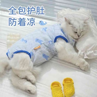 猫咪衣服防掉毛夏季薄款的布偶猫蓝猫宠物幼猫可爱猫猫夏天护肚衣