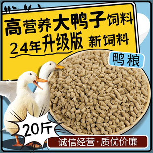 小鸭子饲料喂鸭专用宠物大鸭小黄鸭子小鹅小鸡吃的粮食物饲料雏鸭