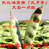 油豆角 东北特产新鲜 当天摘取5斤包邮地区损坏包赔特嫩|ru 油豆角 东北特产新鲜 当天摘取5斤包邮地区损坏包赔特嫩|ru