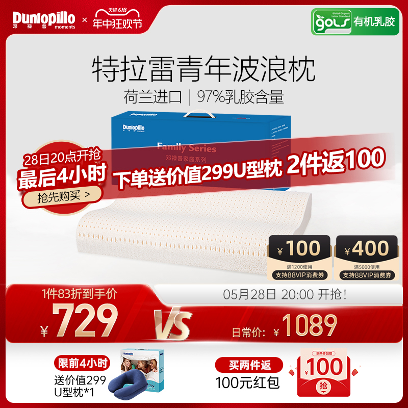 DUNLOPILLO/邓禄普荷兰进