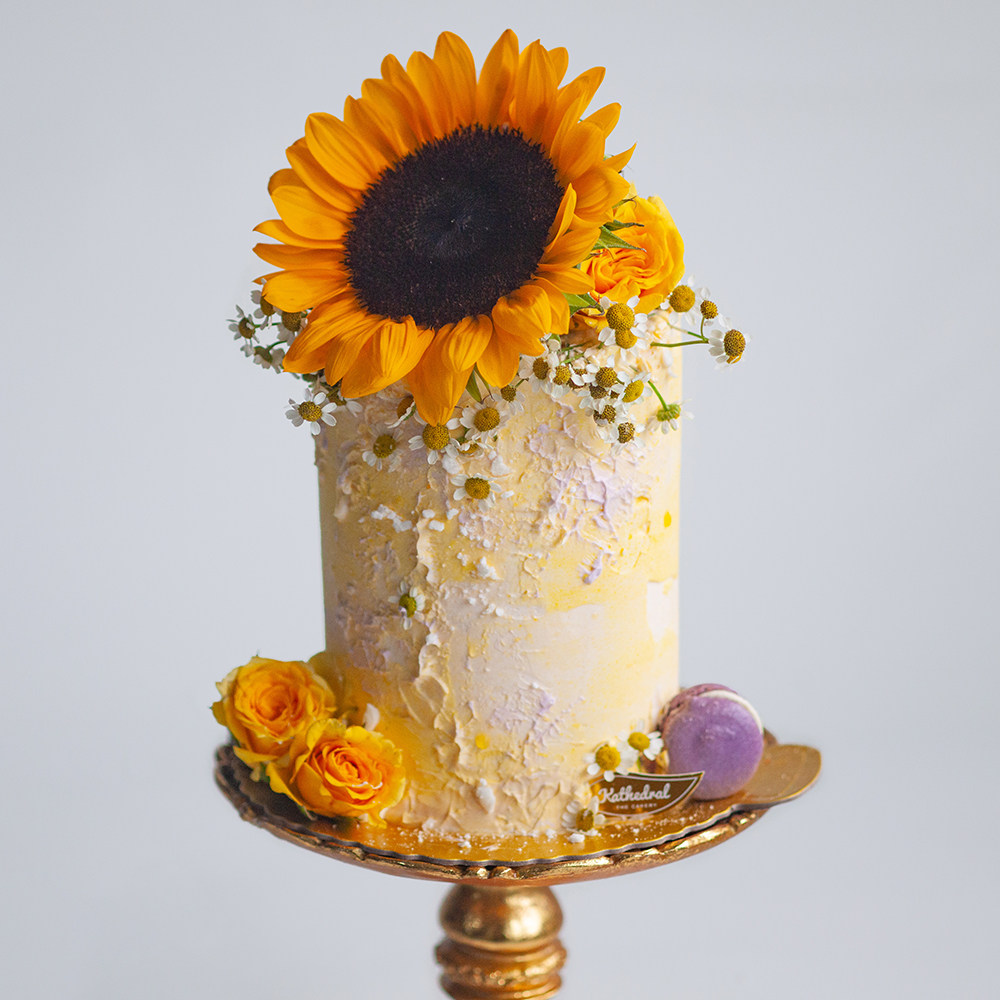 蛋糕生日创意艺术