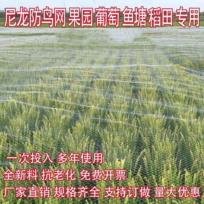 泥龙网鸡网尼龙网防鸟网挡鸡网家用果树果园野鸡养殖网养鸡天网在类目 鲜花速递/花卉仿真/绿植园艺, 园艺用品, 其它园艺用品中 - 来自Buy2taobao.com提供专业的淘宝代购服务