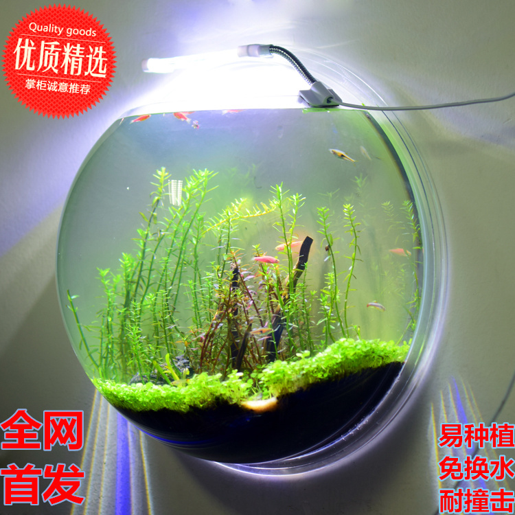 亚克力花瓶挂壁式造景水草缸客厅墙上热带雨林养鱼缸水族箱微景观