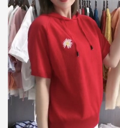 针织衫连帽T恤女小雏菊刺绣宽松上衣JBN512在类目 女装/女士精品, T恤中 - 来自Buy2taobao.com提供专业的淘宝代购服务