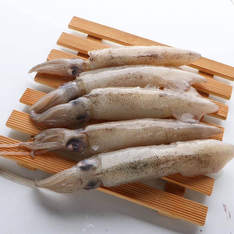 500克海兔满籽墨鱼仔籽乌笔管鱼鲜活海鲜水产海兔子乌贼2斤包邮