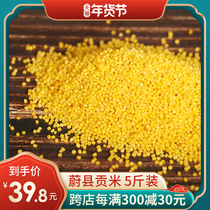雅阁天娇蔚县贡米黄小米粥小黄米5斤