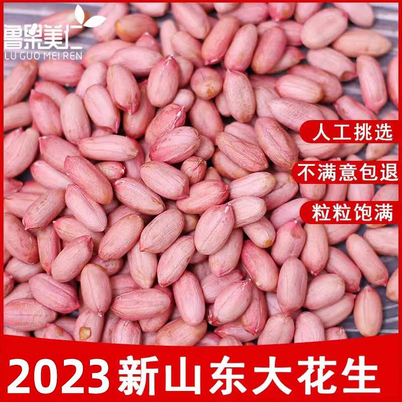 2023年山东大花生新货长粒生花生