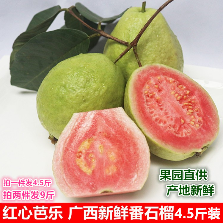 番石榴 红心芭乐4.5斤装广西产地时令新鲜水果果园直供产地直发|msdalam kategori daging perikanan/Buah-buahan segar dan sayur-sayuran/dimasak, buah-buahan segar, jambu batu - dari Buy2taobao.com untuk memberikan perkhidmatan ejen Taobao profesional membeli