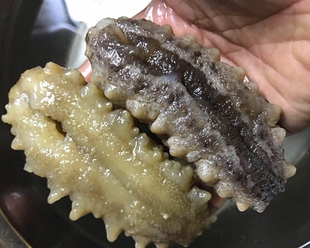 美国阿拉斯加红参进口正品加州刺参野生淡干海参227克/454g