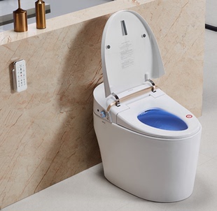 亲,找到箭牌马桶1305优惠券宝贝21个