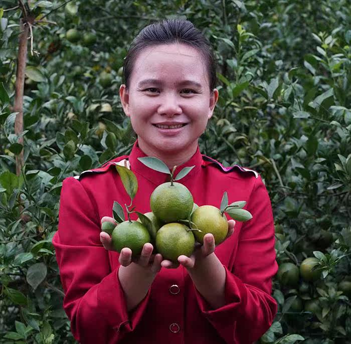 巧妇9妹 广西灵山皇帝柑 8斤优质鲜果 现摘现发
