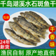 千岛湖土特产石斑鱼干干货农家自制小溪鱼干淡水鱼干非即食250g